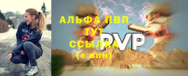 прущие грибы Вязники