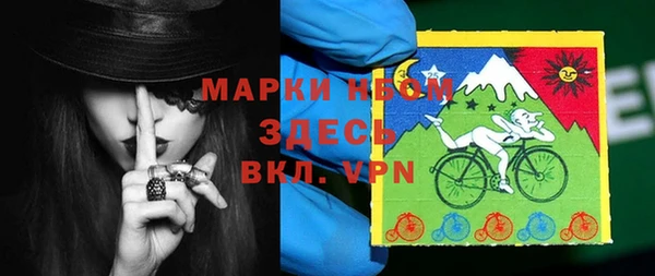 дживик Билибино
