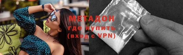 прущие грибы Вязники
