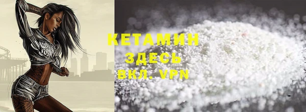 прущие грибы Вязники