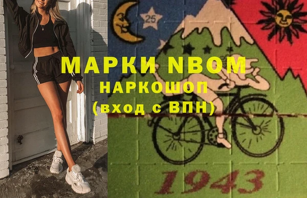 дживик Билибино