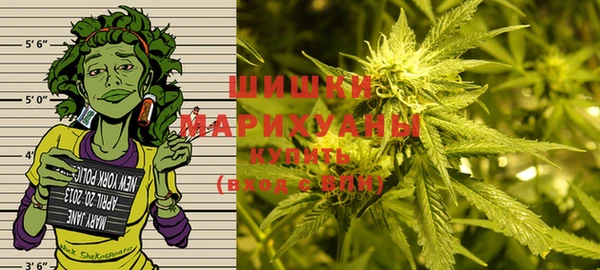 прущие грибы Вязники