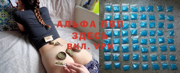 apvp Вязьма