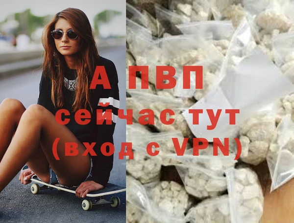 прущие грибы Вязники