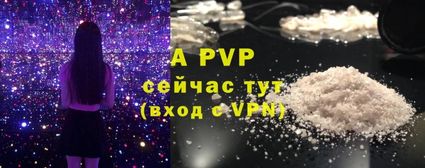дживик Билибино