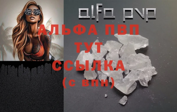 дживик Билибино