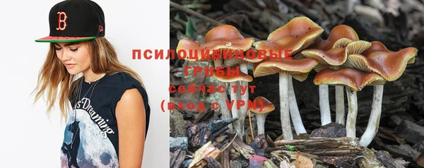 apvp Вязьма