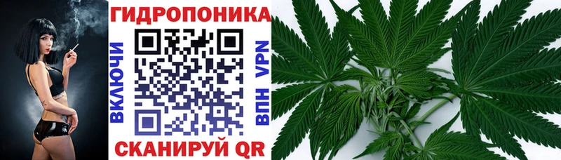 МЕГА вход  Заречный  Марихуана OG Kush  наркошоп 